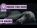 Relax My Dog in my House - Music For Dogs, Puppy Sleeping Lullabies  - Helped 2 million dogs already