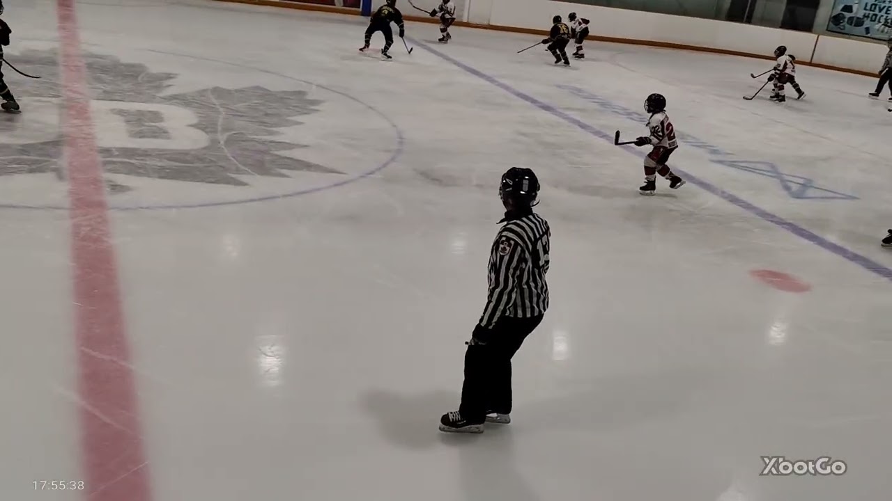 Meadowvale Hawks Vs Thunder U12 Advanced League Red