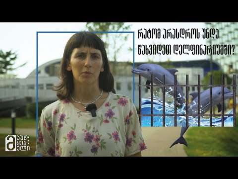 რატომ არასდროს უნდა წახვიდეთ დელფინარიუმში?
