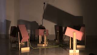 Niladri Majumder | The Digestive System | Final Display 2024 | SN School | Hyderabad
