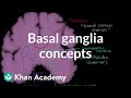 Understanding the Basal Ganglia and Movement Control