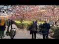 Paris, France🇫🇷 - Paris  Spring walk around Palais Royal | A Walk In Paris
