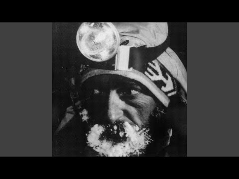 Putar Niemand - Metrickz