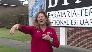 Bayou Lafourche Feature