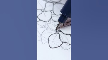 Drawing hydrangea flowers for day 329 of my art challenge 💐✨#hydrangeas