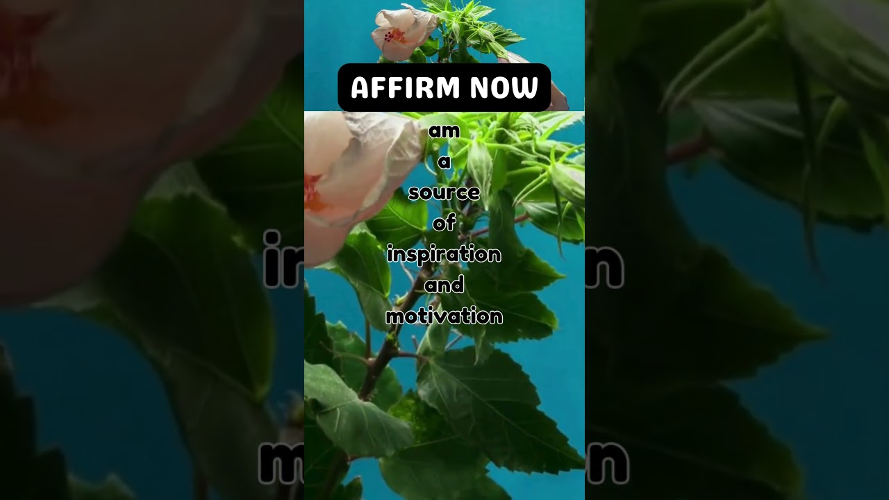 INSPIRATION SOURCE: Affirmations for Motivation 🌟