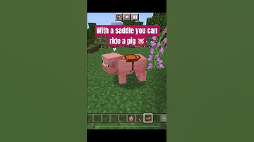 Did you know you can ride a pig in MINECRAFT 🐷