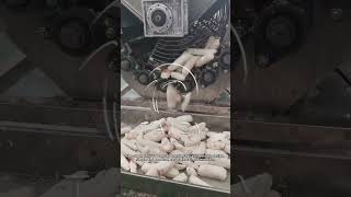 95% Peeling Rate Root Vegetable Washing Machine | Cassava Washer Peeler Machine