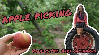 Fall Apple Picking | Paulus Mt. Airy Orchards, Dillsburg, PA