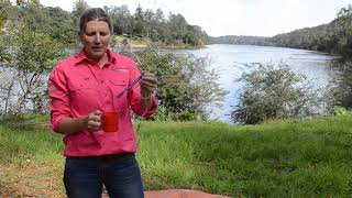 Measuring Water Temperature