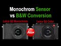 LEICA Monochrom SENSOR vs Black and White CONVERSION