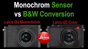 LEICA Monochrom SENSOR vs Black and White CONVERSION