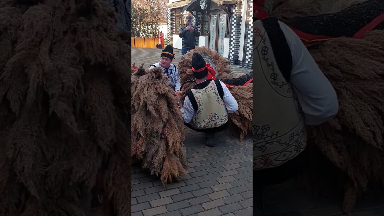 Banda Broscauți la Cocorăni 2025