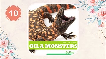 10. Gila Monsters | Reading books | Đọc sách tiếng Anh | Learn English with Hang