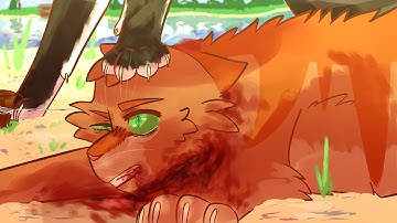 Saint Bernard - Hawkfrost MAP Part 9