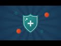 Your Email Is the Master Key to Your Entire Digital Life — Are You Protecting It? | Emora
