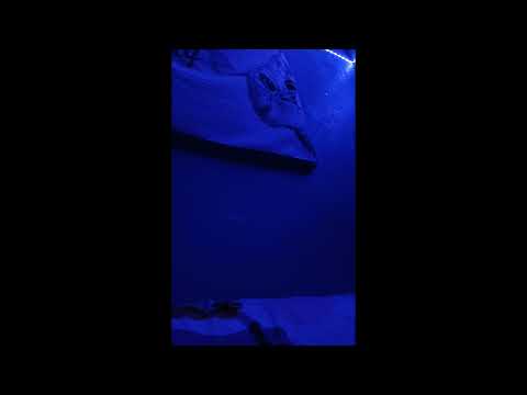 ใครคิดถึง - เบิร์ด ธงไชย (covered by may)