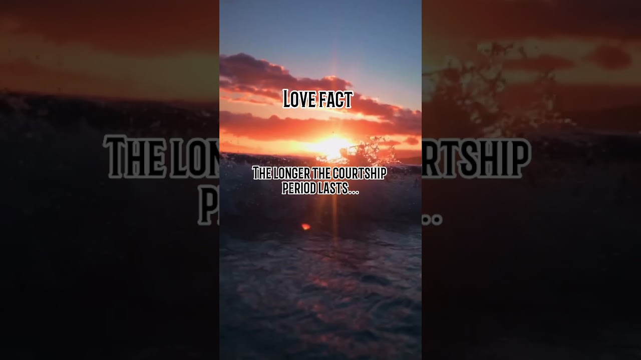 The Longer The Courtship Period Lasts… 