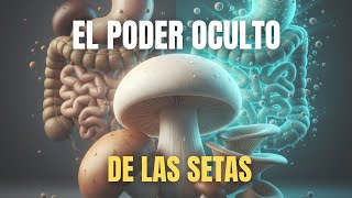 Hongos Comestibles: el SUPERALIMENTO con BENEFICIOS ocultos 🍄