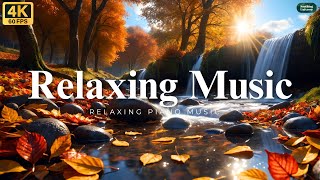 Relaxing Music | Sleeping Music | 4k video | Nature 4k | Piano Music | Baground Music | Spa | Zen