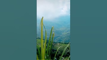 THÈN PHÀNG - XÍN MẦN - HÀ GIANG