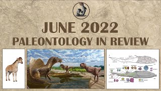June 2022- Paleontology in Review