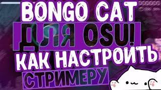 Как скачать и настроить Bongo cat заместо веб-камеры на стриме!