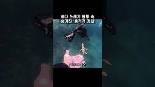 바다 쓰레기 봉투 속 충격적 정체 #shorts
