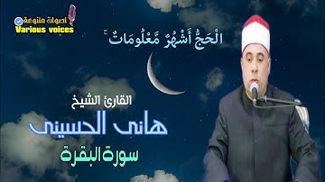 الشيخ هاني الحسينى سورة البقرة ايات الحج (الْحَجُّ أَشْهُرٌ مَّعْلُومَاتٌ ۚ ) تلاوة قصيرة