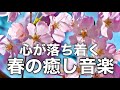 【春の癒しBGM】春を感じて心が落ち着く優しいリラックス音楽、自律神経を整え不安やストレス解消のためのヒーリングミュージック/睡眠用・作業用・勉強用BGM