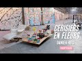 Damien Hirst « Cerisiers en Fleurs» – Le film 360°
