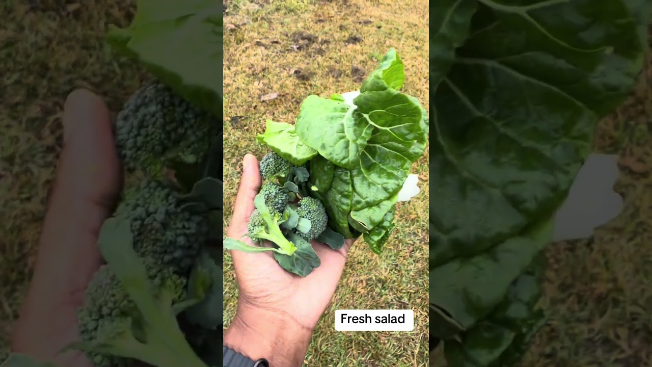 From garden to table #gardening