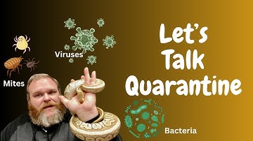 Lets talk Reptile Quarantine and Why it