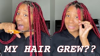 Taking Out My Month Old Box Braids (New Growth + Build Up)