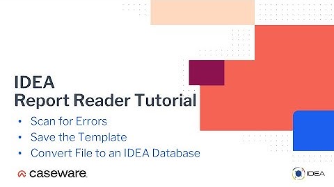 Scan for Errors Save Template and Import | IDEA 12 Report Reader Tutorial (EN)