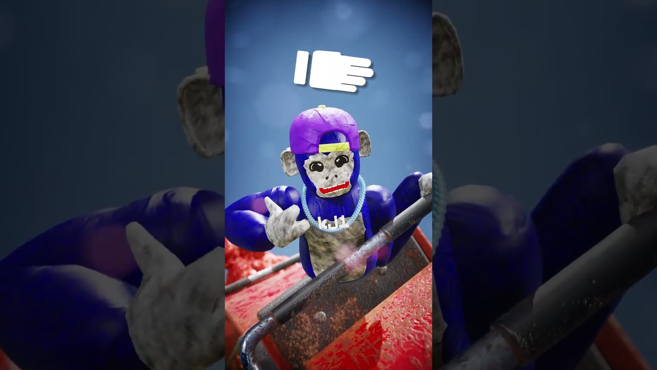 Stop the Rollercoaster!