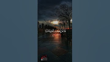 يا أيها الناس إن وعد الله حق | سورة فاطر | القارئ هيثم الدخين