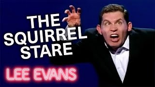 Lee Evans Getting Stared Down By A Squirrel | Big Live At The O2 | Lee Evans