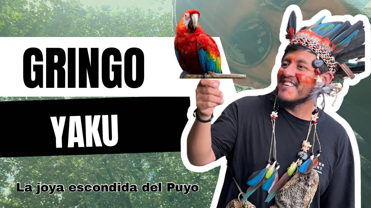 Visitando GRINGO YAKU, un paraíso en medio de la selva Ecuatoriana.