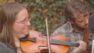 The Vinegar Flies - "Carroll County Blues"