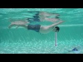 The Front Float Tutorial The Front Float Tutorial