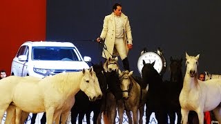 madrid horse week 2016 lorenzo horse show