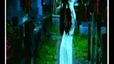 AM I AWAKE Fasten Boolbis and Thing AUG 1978