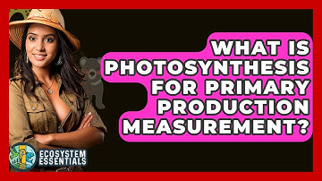 What Is Photosynthesis For Primary Production Measurement? - Ecosystem Essentials