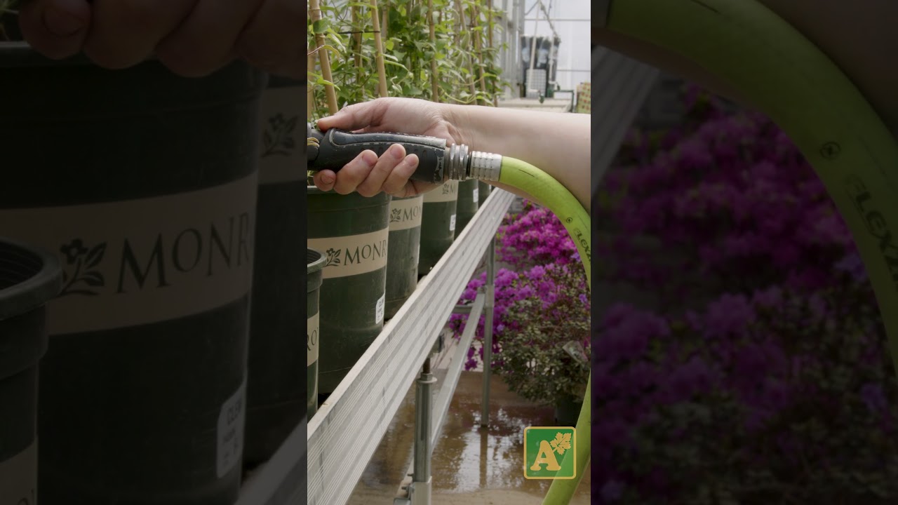 The Garden Hose we Use at Alsip Home & Nursery