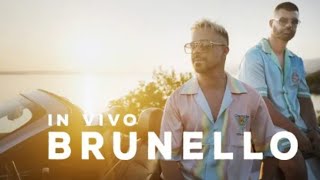 IN VIVO - BRUNELLO