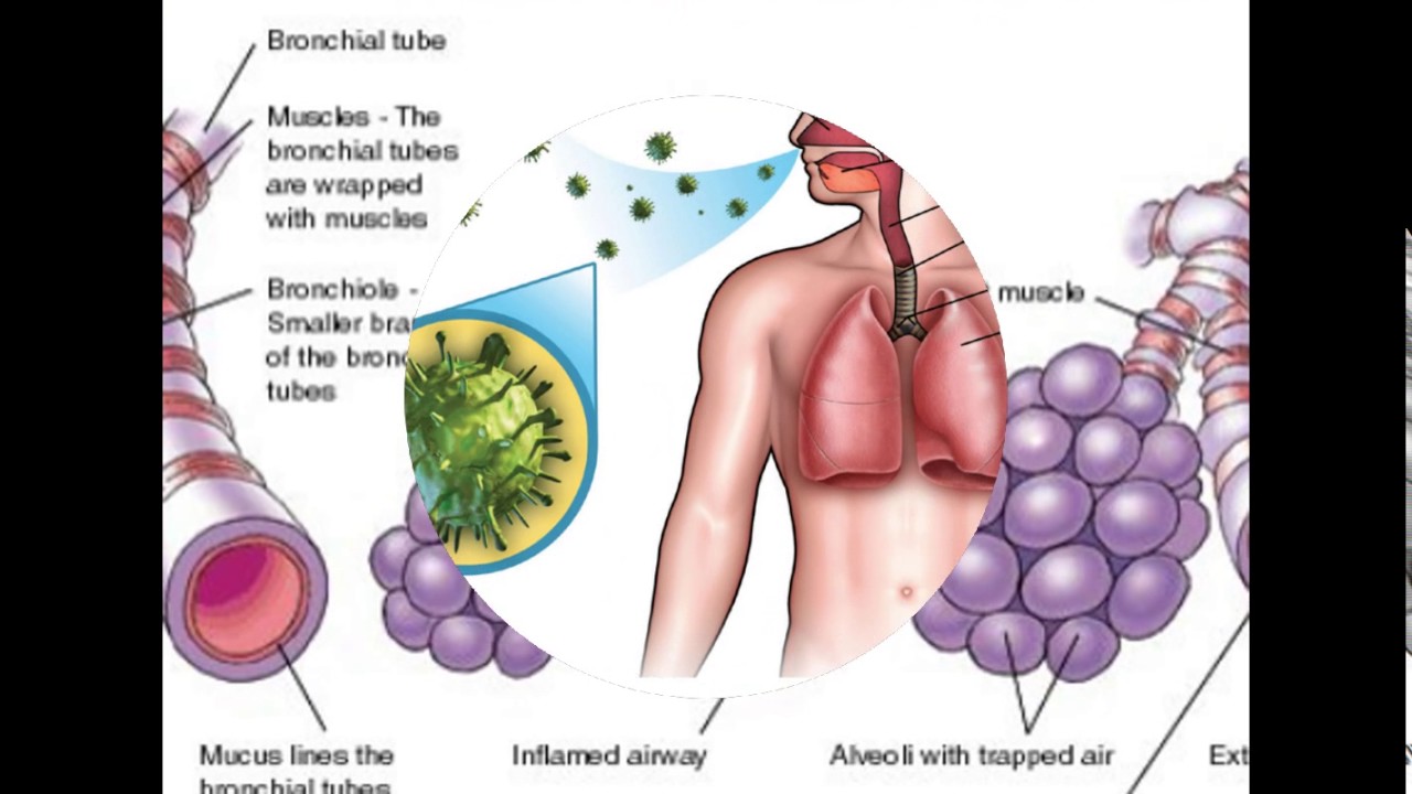 Salt Therapy At Home