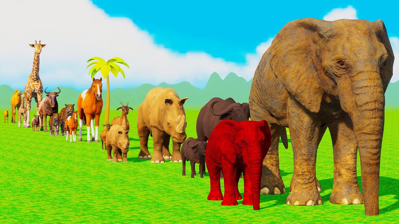 Long Slide Game With Cow Elephant Gorilla Hippopotamus Tiger - 3d Animal Game - Funny 3d Animals