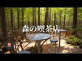 環境音+JAZZ やさしい森の喫茶店 自然環境音で癒しの時間 リラックスタイム 読書、勉強、仕事が捗りやすくなる Relaxing Jazz 環境音 - 作業用BGM
