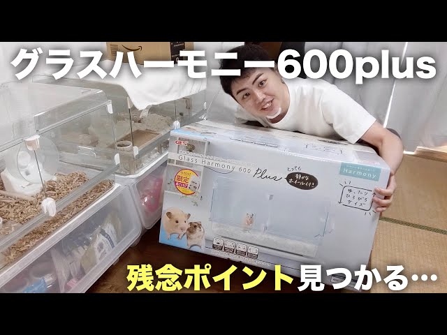 グラスハーモニー600プラス